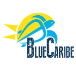 Blue Caribe Tours